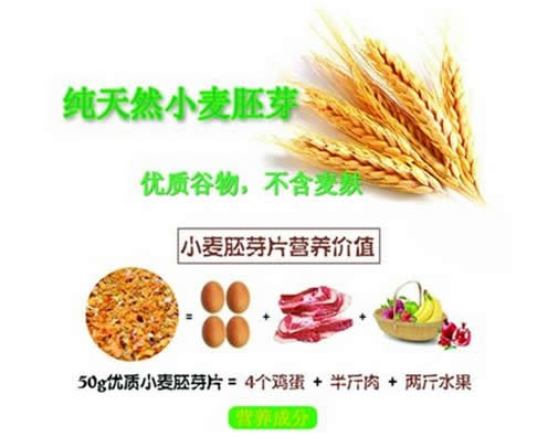 小麦胚芽高营养价值的新食材